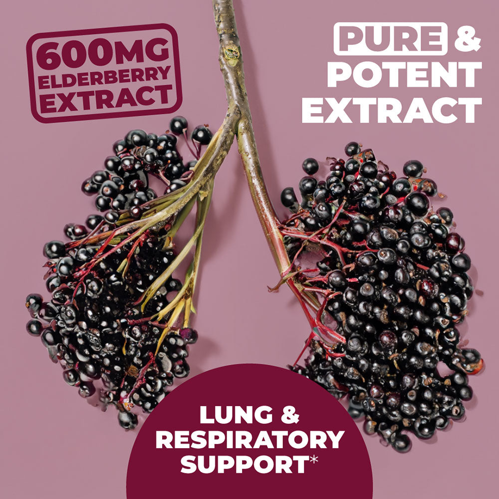 BLACK ELDERBERRY SUPPLEMENT - RESPIRATORY & HEART HEALTH