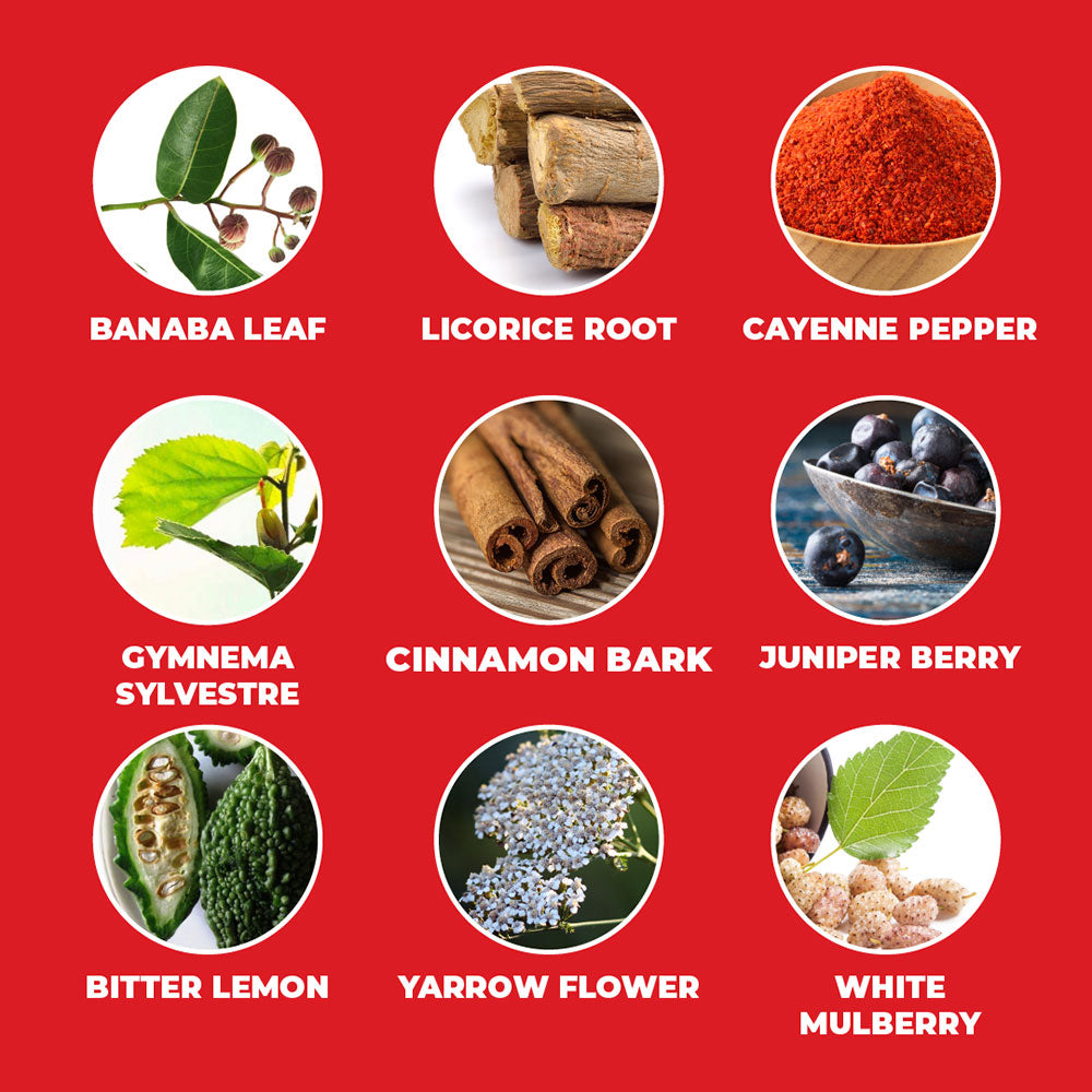 ENERGY BALANCE SUPPLEMENT - METABOLISM SUPPORT