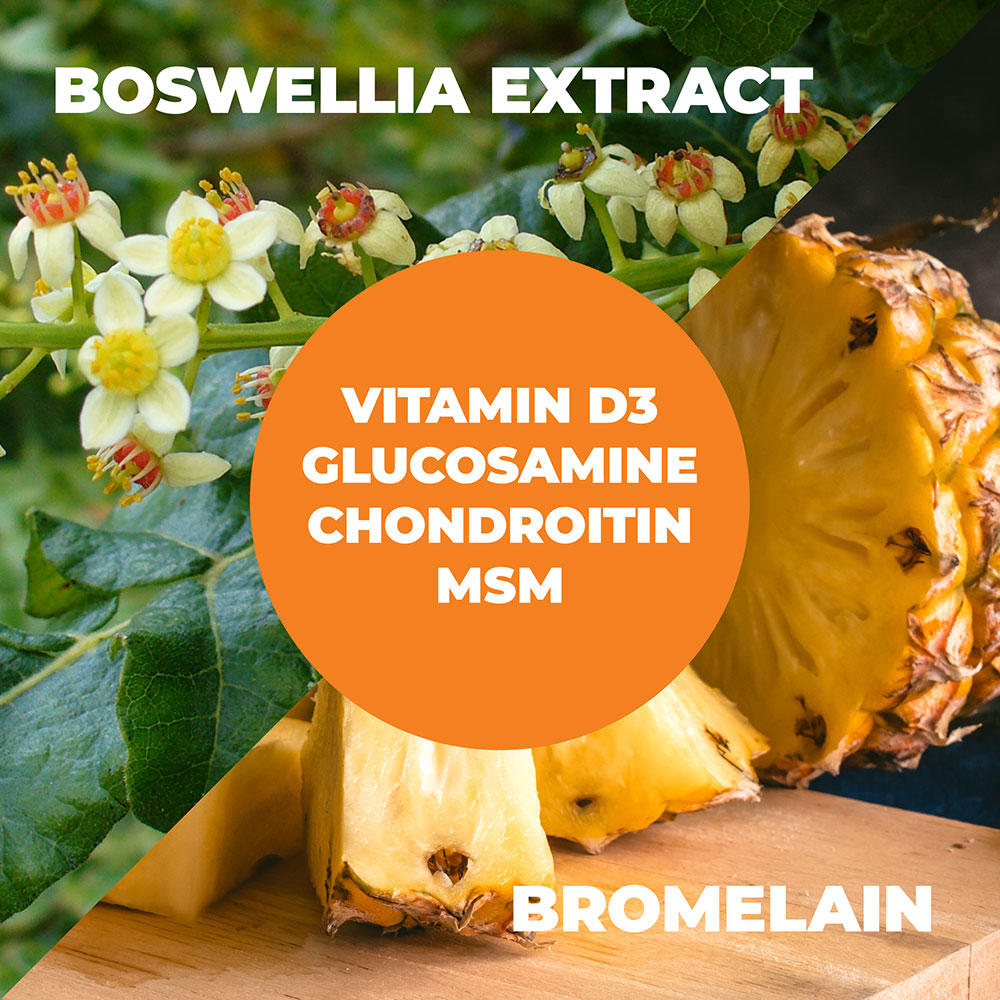 GLUCOSAMINE + VITAMIN D3 SUPPLEMENT