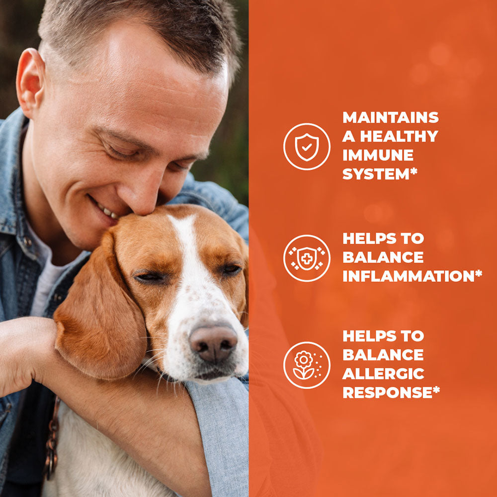 IMMUNE ALLERGY SUPPLEMENT - ULTIMATE ALLERGY SUPPORT