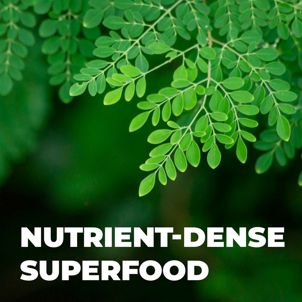 MORINGA SUPPLEMENT