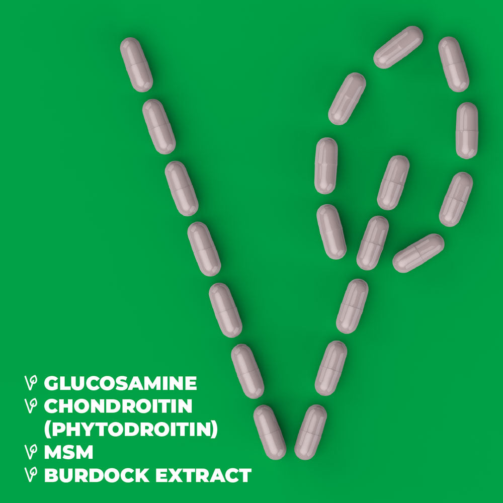 VEGAN GLUCOSAMINE SUPPLEMENT - CARTILAGE & JOINT HEALTH