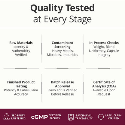 Multivitamin for Women with Methylated Vitamins and Chelated Minerals for Energy, Focus and Immune Health – Premium Daily Womens Multivitamins & Multiminerals – 60 Capsules