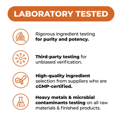 Mushroom 10x Complex with Lions Mane Extract, Turkey Tail, Cordyceps, Reishi, Shiitake, Chaga & Maitake for Cognitive Support – Vegan Mushroom Supplement Blend for Natural Energy & Focus – 60 Capsules