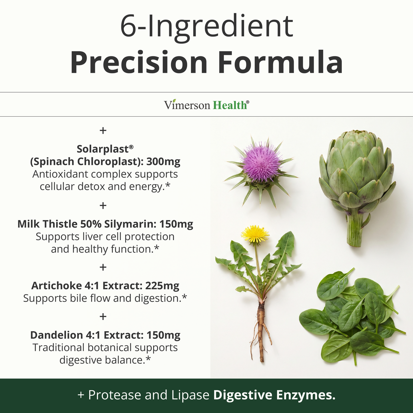 Liver Support with Artichoke Extract, Enzymes, Silymarin 50% Milk Thistle, Dandelion Root, Lipase & Protease, Solarplast® Antioxidants – Supports Detox, Digestion & Energy. 60 Capsules, 20 Day Supply