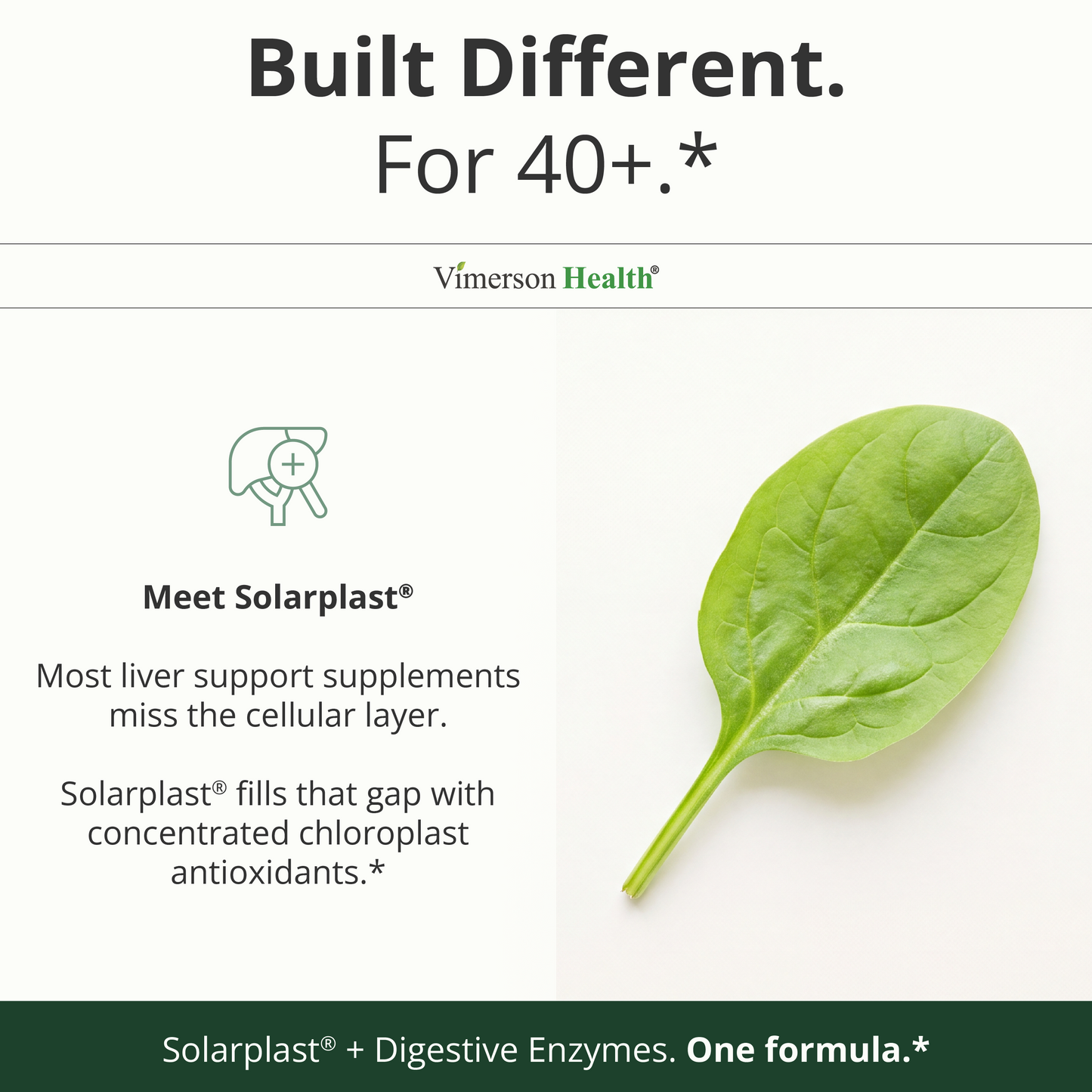 Liver Support with Artichoke Extract, Enzymes, Silymarin 50% Milk Thistle, Dandelion Root, Lipase & Protease, Solarplast® Antioxidants – Supports Detox, Digestion & Energy. 60 Capsules, 20 Day Supply