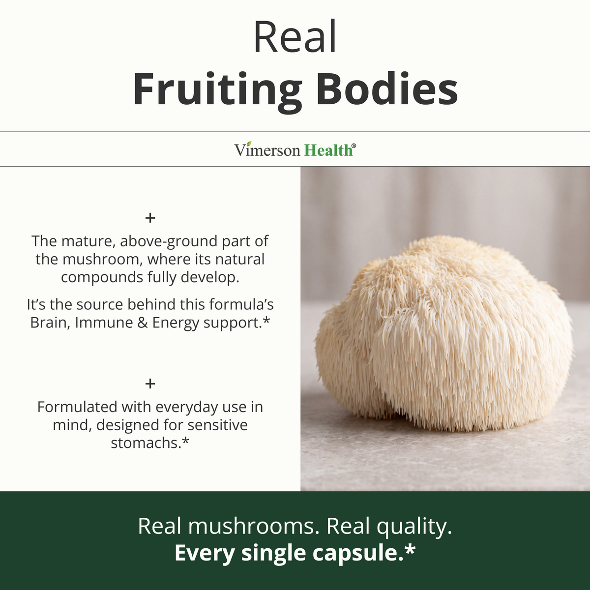 10X Mushroom Supplement w/ Lions Mane & Reishi – Cognitive Support – 60 Ct 1,330mg Functional Mushrooms: Reishi, Turkey Tail, Cordyceps, Shiitake, Chaga & Maitake for Immune & Energy - Gentle Formula
