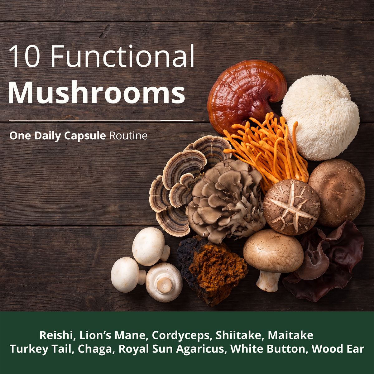10X Mushroom Supplement w/ Lions Mane & Reishi – Cognitive Support – 60 Ct 1,330mg Functional Mushrooms: Reishi, Turkey Tail, Cordyceps, Shiitake, Chaga & Maitake for Immune & Energy - Gentle Formula