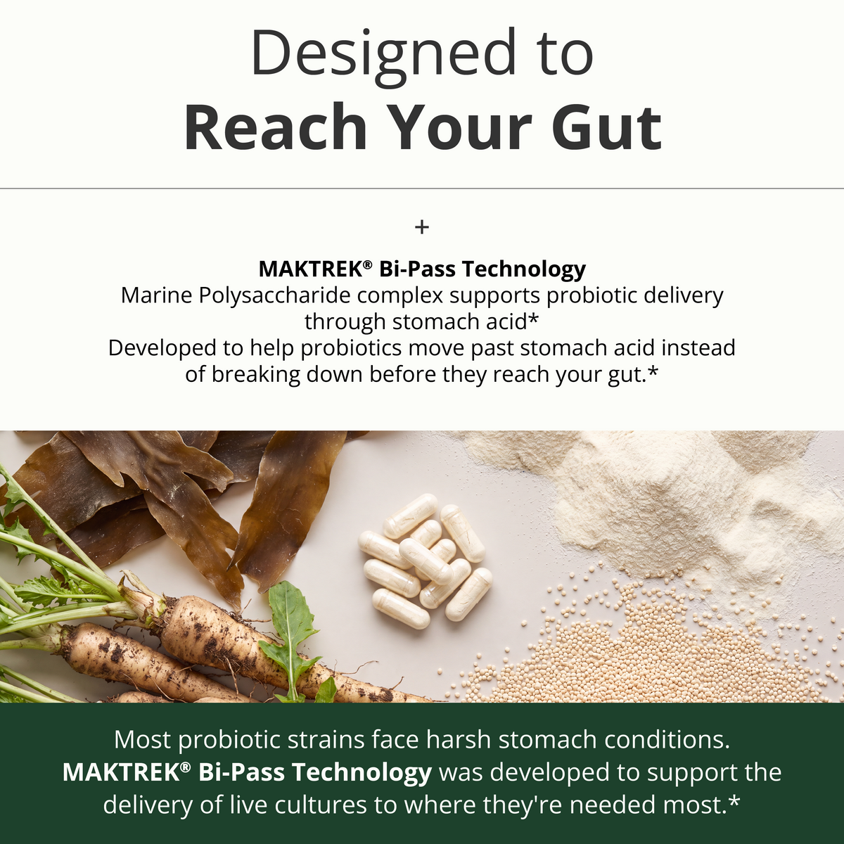 Probiotics for Women & Men, 40 Billion CFU Prebiotics for Gut Health 60 Ct  - 75 MAKTREK® Bi-Pass Technology with 4 Probiotic Strains & Prebiotics for Digestive Health & Immune Support - Fridge-Free Formula