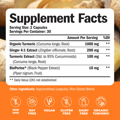 TURMERIC GINGER SUPPLEMENT