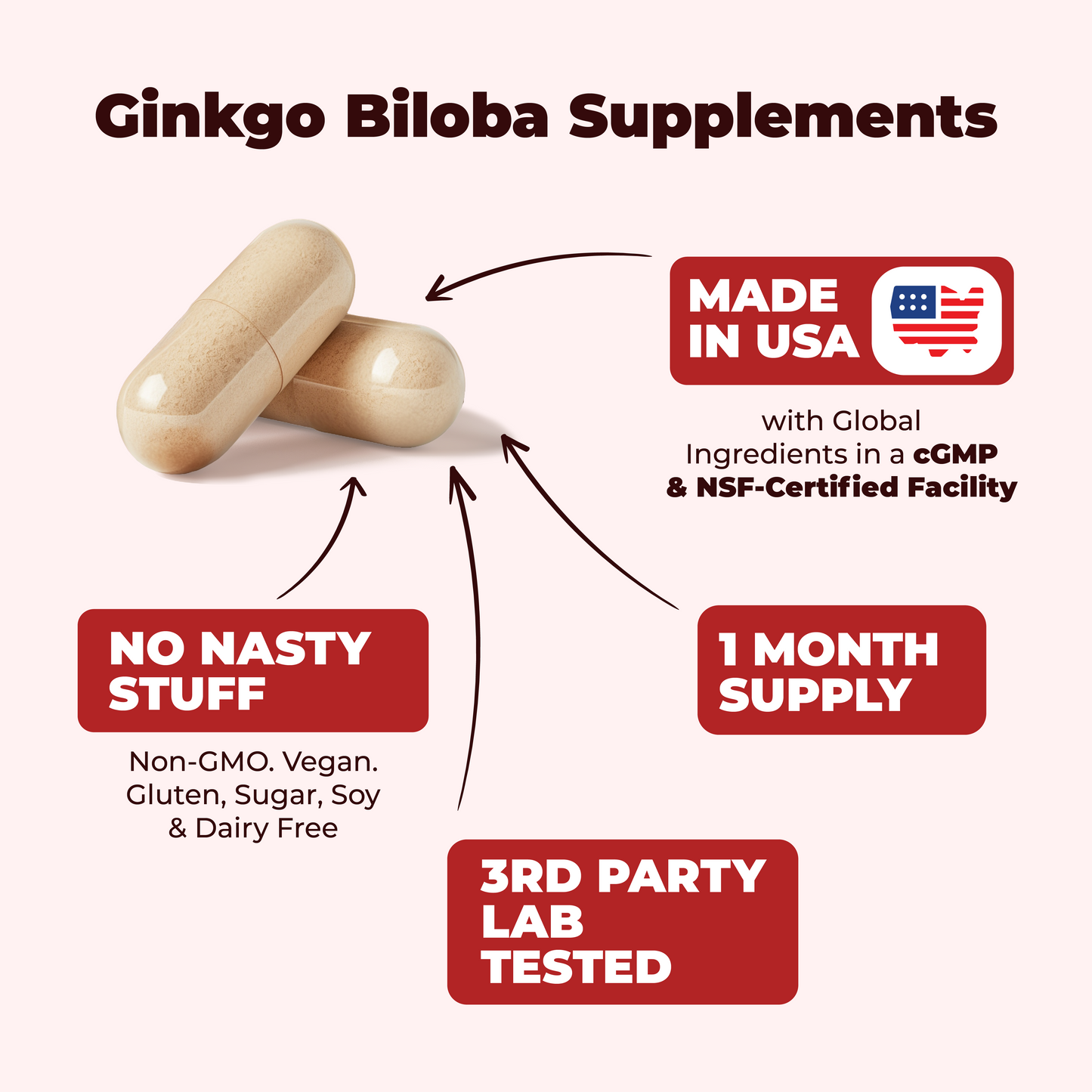 GINKGO BILOBA & GINSENG SUPPLEMENT