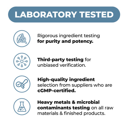 Vitamin B Complex with Vit C & Folic Acid (Folate) - 8 High Potency B Vitamins: B1, B2, B3, B5, B6, B7, Vitamin B12 + Biotin, Choline & Inositol. Aids Mood, Energy, Nervous System & Immune Support